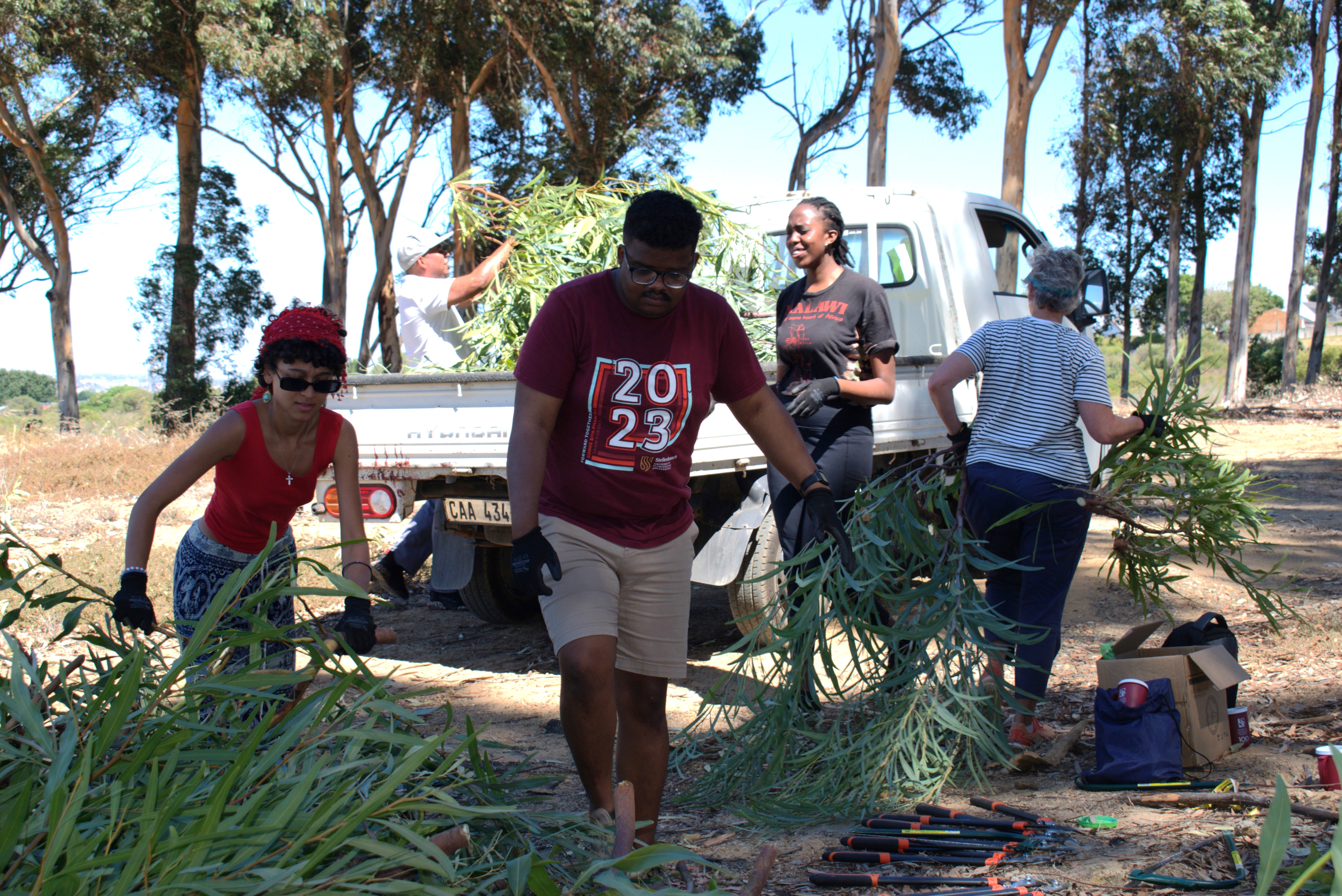 SU facilitators help clear alien vegetation at Bellville Park campus ...