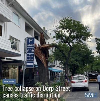An oak tree collapsed onto two cars on Dorp Street, Stellenbosch on 26 October. One of the vehicles was parked on the side of the road and empty at the time of the incident, according to witness Matthew Greer. The driver of the second car was inside his vehicle when the tree fell.
No injuries were reported, according to Stuart Grobbelaar, communications manager at Stellenbosch Municipality.“I just heard a thing crack, and when I came outside I couldn’t see my car anymore,” said Henry Jaquire, owner of the damaged car that was parked on the side of the road.
The tree seemingly showed signs of rot and waterlogging, likely contributing to its collapse, according to a municipal worker at the scene, who spoke to SMF News on the condition of anonymity.

Click the link in our bio to read more.

stellenbosch dorpstreet oaktree localnews capewinelands smfnews